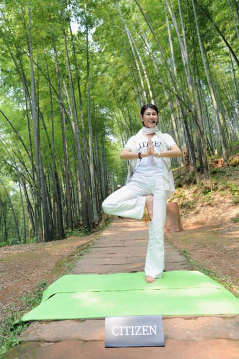史丹森大学学士毕业证